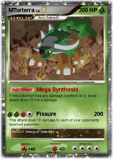 Pokemon MTorterra