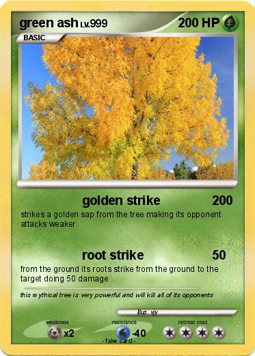 Pokemon green ash