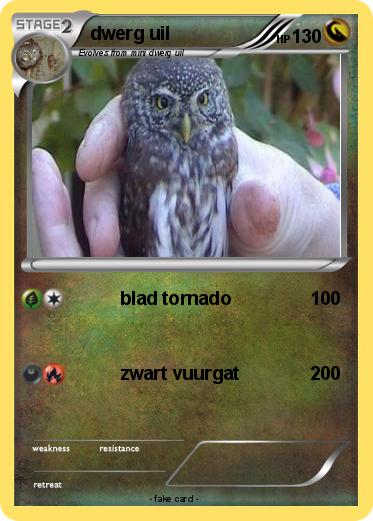 Pokemon dwerg uil