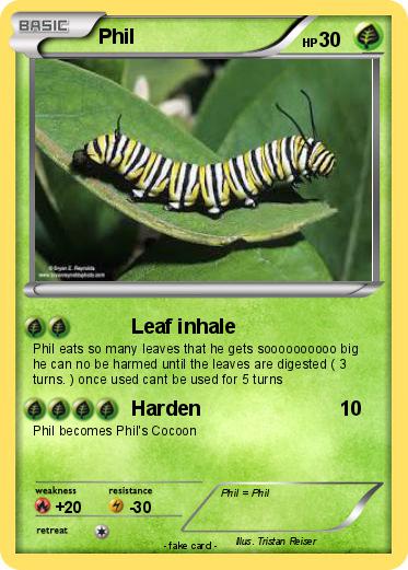 Pokemon Phil