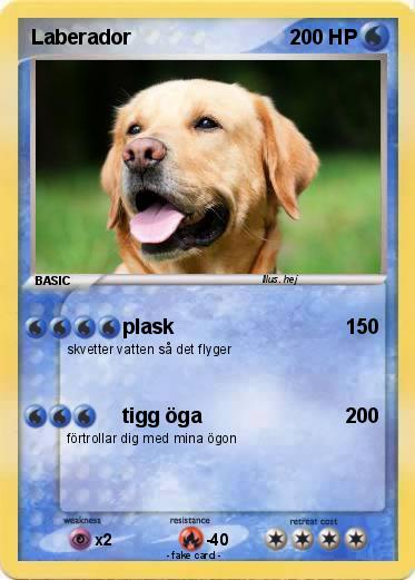 Pokemon Laberador