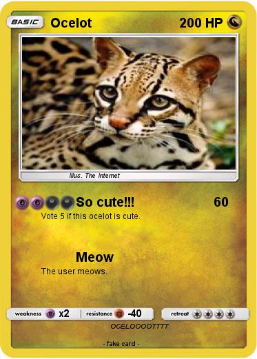 Pokemon Ocelot