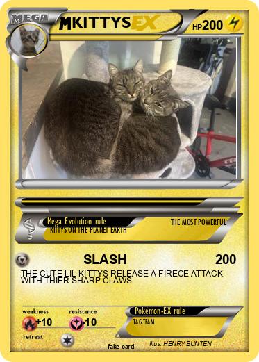 Pokemon KITTYS
