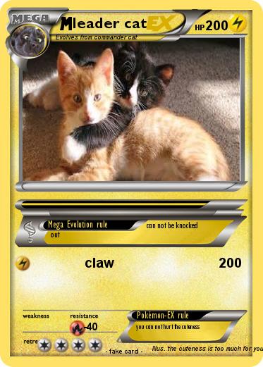Pokemon leader cat