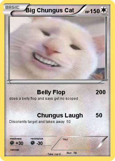 Pokemon Big Chungus Cat