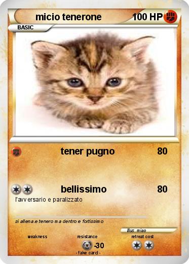 Pokemon micio tenerone
