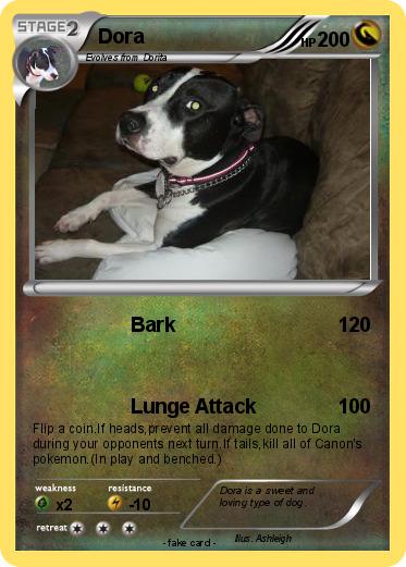 Pokemon Dora
