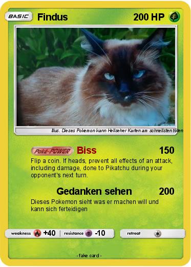 Pokemon Findus