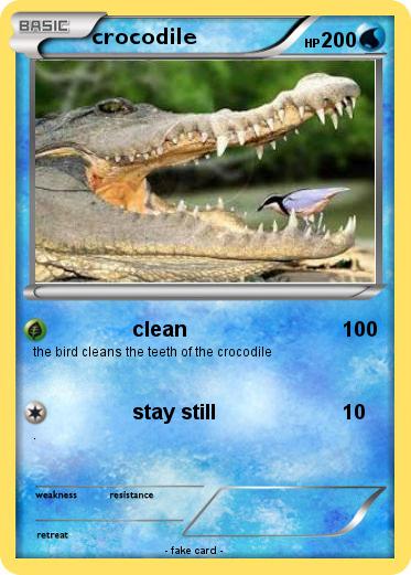 Pokemon crocodile