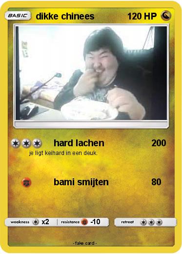Pokemon dikke chinees