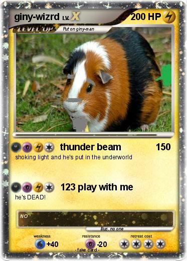 Pokemon giny-wizrd