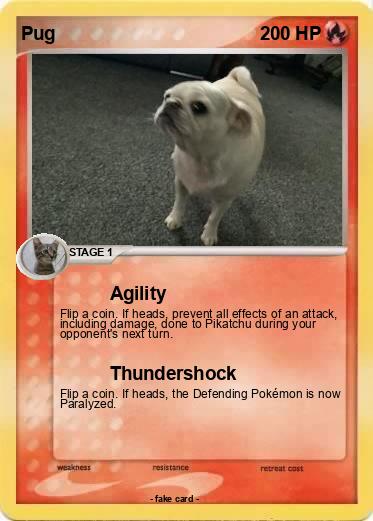 Pokemon Pug