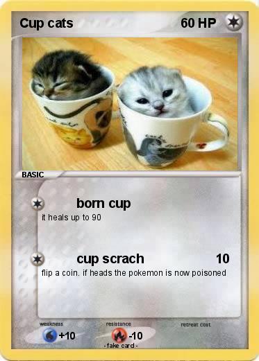Pokemon Cup cats