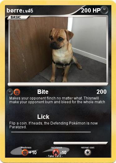 Pokemon børre