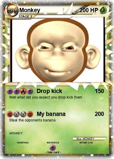 Pokemon Monkey