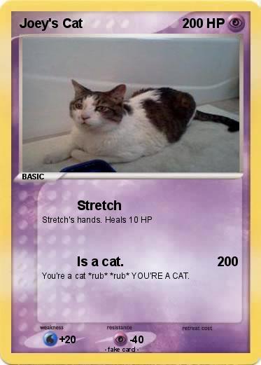 Pokemon Joey's Cat