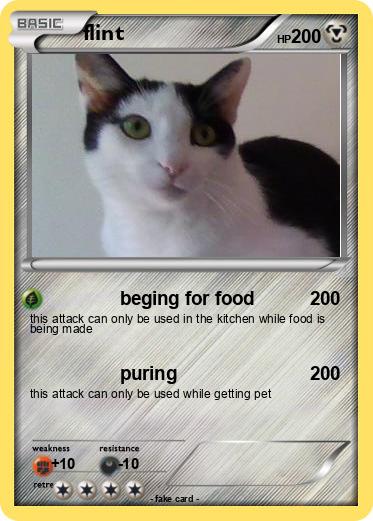 Pokemon flint