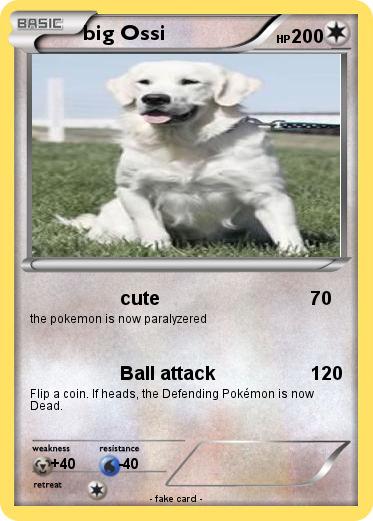 Pokemon big Ossi
