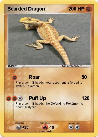 Pokemon Bearded Dragon