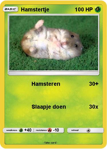 Pokemon Hamstertje