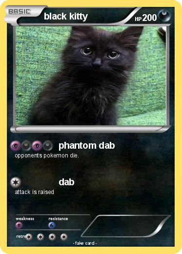 Pokemon black kitty