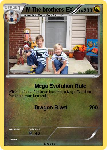 Pokemon M The brothers EX