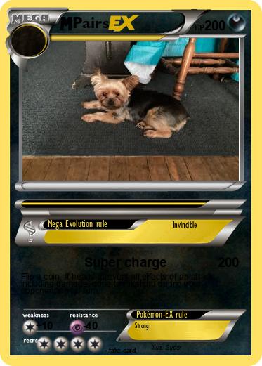 Pokemon Pairs