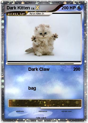 Pokemon Dark Kitten
