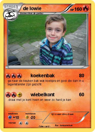 Pokemon de lowie