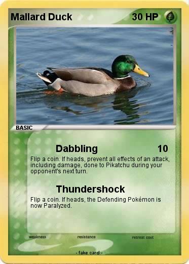 Pokemon Mallard Duck