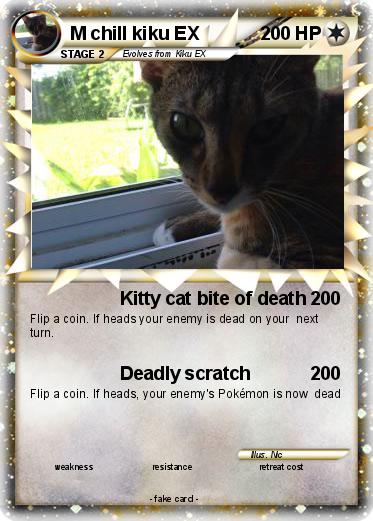 Pokemon M chill kiku EX