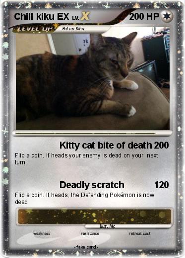 Pokemon Chill kiku EX