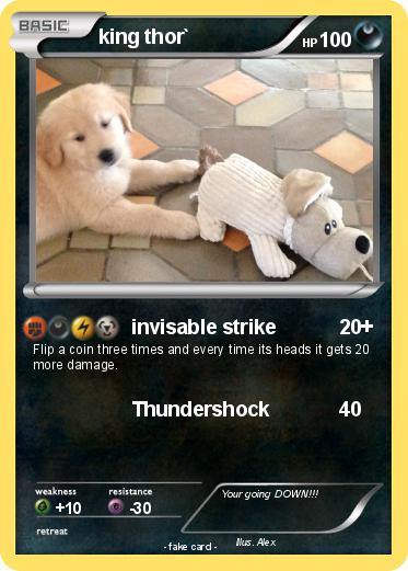 Pokemon king thor`