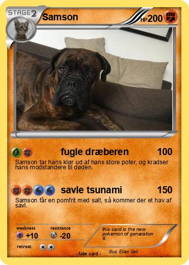 Pokemon Samson