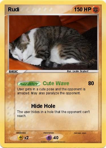 Pokemon Rudi