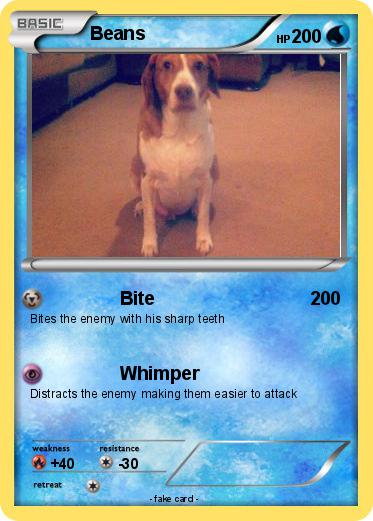 Pokemon Beans