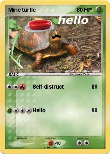 Pokemon Mine turtle