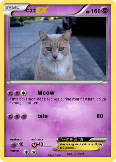 Pokemon cat