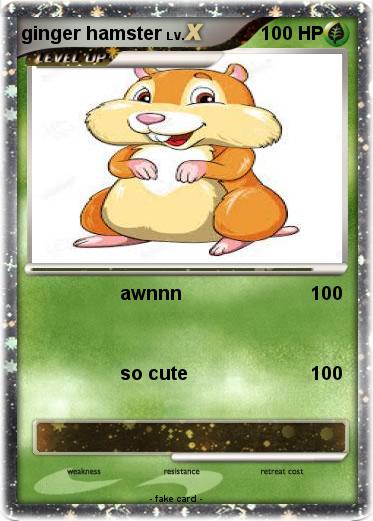 Pokemon ginger hamster