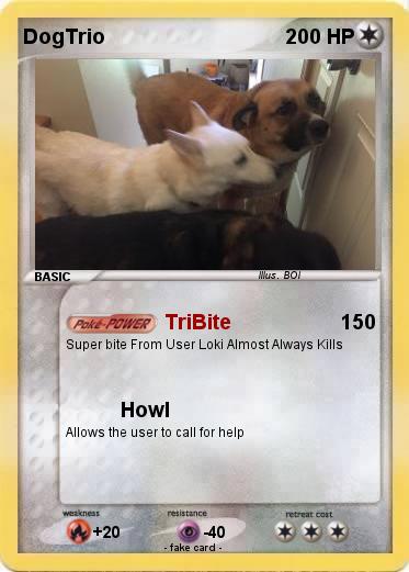 Pokemon DogTrio