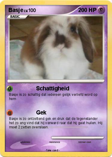 Pokemon Basje