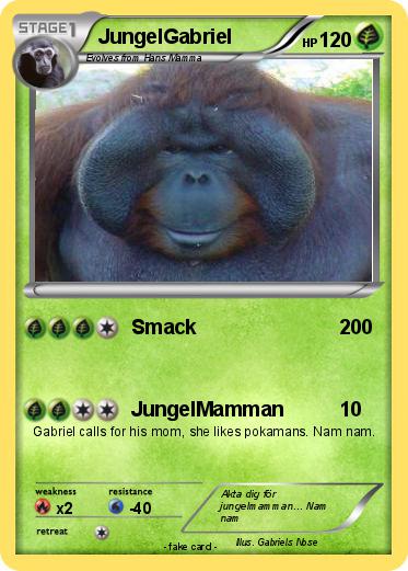 Pokemon JungelGabriel