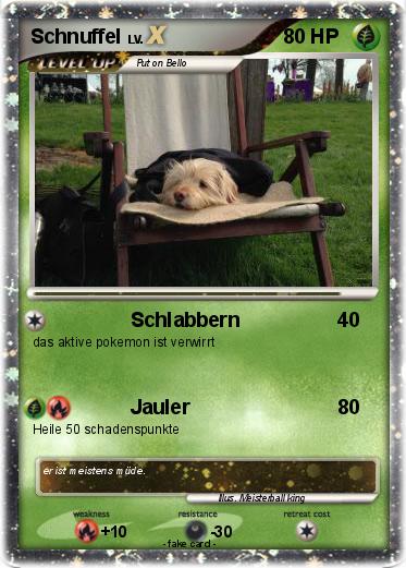 Pokemon Schnuffel