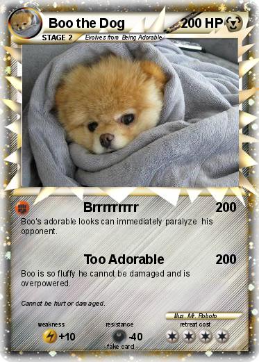 Pokemon Boo the Dog