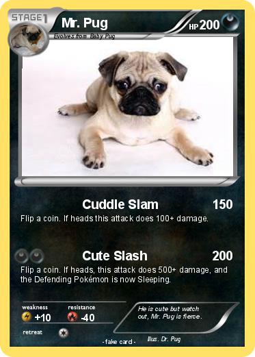 Pokemon Mr. Pug