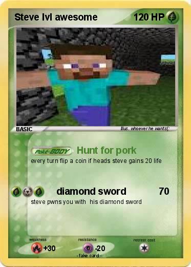 Pokemon Steve lvl awesome