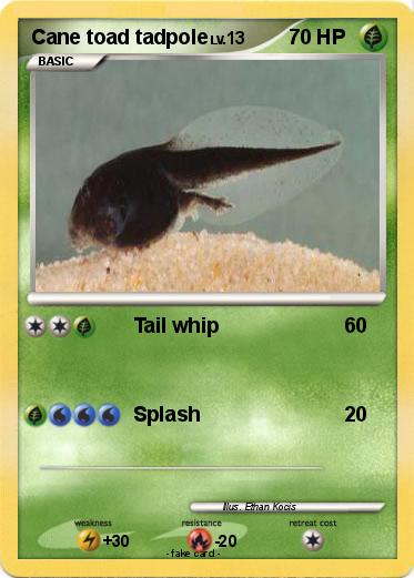 Pokemon Cane toad tadpole