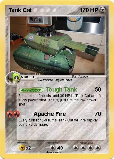 Pokemon Tank Cat