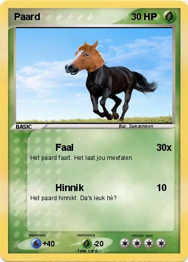 Pokemon Paard