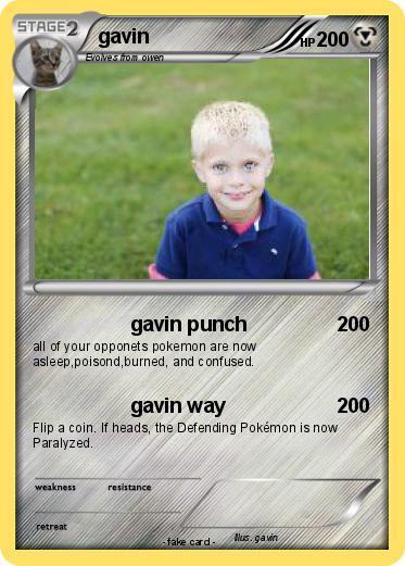 Pokemon gavin